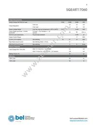 SQE48T17060-NGB0G Datasheet Page 3