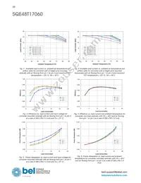 SQE48T17060-NGB0G Datasheet Page 10