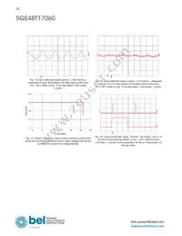 SQE48T17060-NGB0G Datasheet Page 12