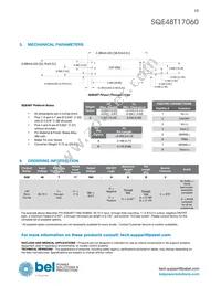 SQE48T17060-NGB0G Datasheet Page 13