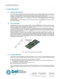 SQE48T20033-NGB0G Datasheet Page 7