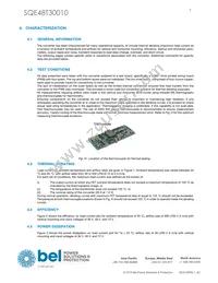 SQE48T30010-NDB0G Datasheet Page 9