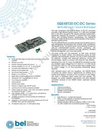 SQE48T30033-PGB0G Datasheet Cover