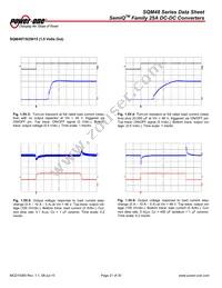 SQM48T25010-NCB0 Datasheet Page 21