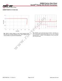 SQM48T25010-NCB0 Datasheet Page 23