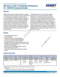 SRA25B104KGS Datasheet Cover