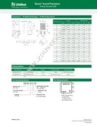 SRR6016D1TP Datasheet Page 6