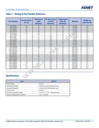SS21V-R400005 Datasheet Page 3