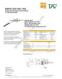 SSF212X100-14G Datasheet Cover