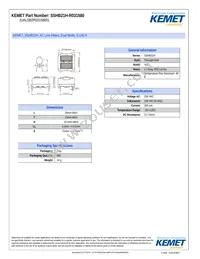 SSHB21H-R031580 Datasheet Cover