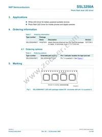 SSL3250AHN/C1 Datasheet Page 2