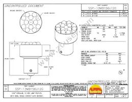 SSP-13MB156U12G Datasheet Cover