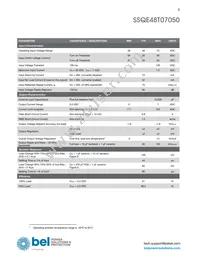 SSQE48T07050-NAANG Datasheet Page 3