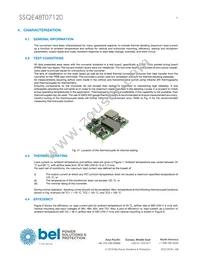 SSQE48T07120-PABNG Datasheet Page 9