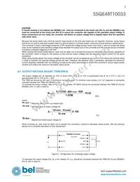 SSQE48T10033-NACCG Datasheet Page 5
