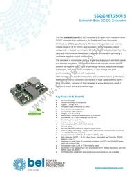 SSQE48T25015-NAANG Datasheet Cover