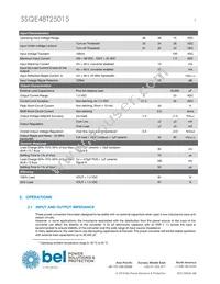 SSQE48T25015-NAANG Datasheet Page 3