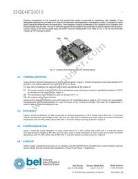 SSQE48T25015-NAANG Datasheet Page 9