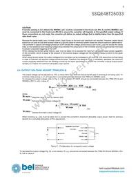 SSQE48T25033-PAAN Datasheet Page 5