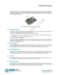 SSQE48T25033-PAAN Datasheet Page 9