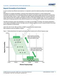 SSR21NV-10250 Datasheet Page 2