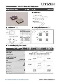 SSX-750PBE16777216T Datasheet Cover