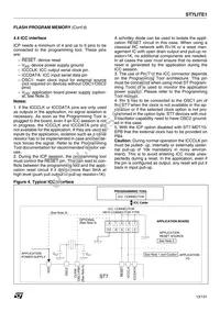 ST7FLIT19F1M7TR Datasheet Page 13