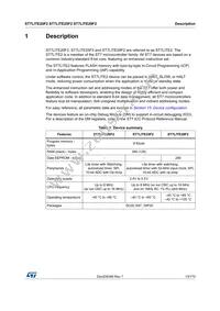 ST7FLITE29F1B6 Datasheet Page 13