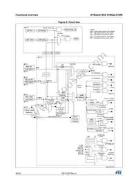 STM32L010R8T6 Datasheet Page 20