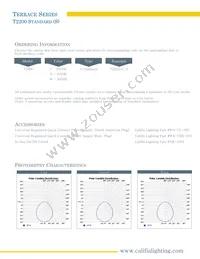 T2200-W-S Datasheet Page 2
