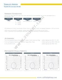 T2200-W-S-06 Datasheet Page 2