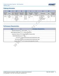 T500X336K035AG61107505 Datasheet Page 2