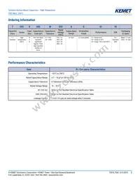 T502B106M016AG63107280 Datasheet Page 2