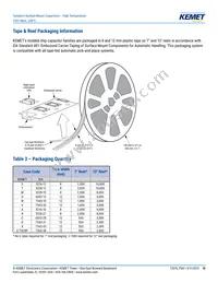 T502B106M016AG63107280 Datasheet Page 10