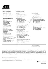 T6819-TBSY Datasheet Page 16
