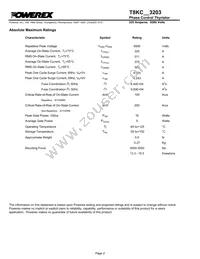 T8KC603203DH Datasheet Page 2