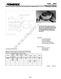 T9KC600603DH Datasheet Cover