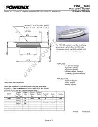 T9S7321403DH Datasheet Cover