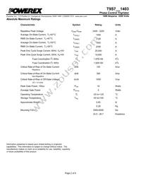 T9S7321403DH Datasheet Page 2