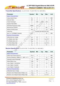 TBD-S2CB1-K11 Datasheet Page 3