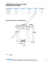 TCM-1000-48G Datasheet Page 2