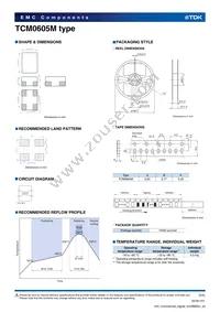 TCM0605M-900-2P-T201 Datasheet Page 3