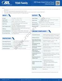 TE60A1603N01 Datasheet Page 2