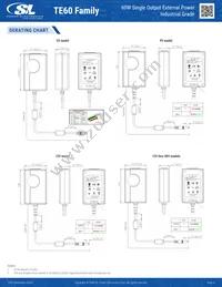 TE60A1603N01 Datasheet Page 4