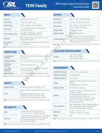 TE90A2423N02 Datasheet Page 2