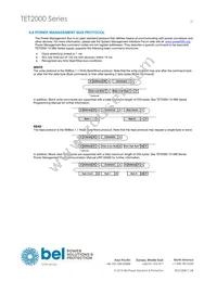 TET2000-12-086NA Datasheet Page 19