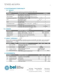 TET4000-48-069RA Datasheet Page 13