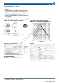 TF2628V-250Y12R0-1H Datasheet Page 2