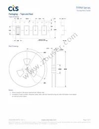 TFPM1T32K7680R Datasheet Page 4