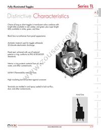 TL22SNAG016F Datasheet Page 2